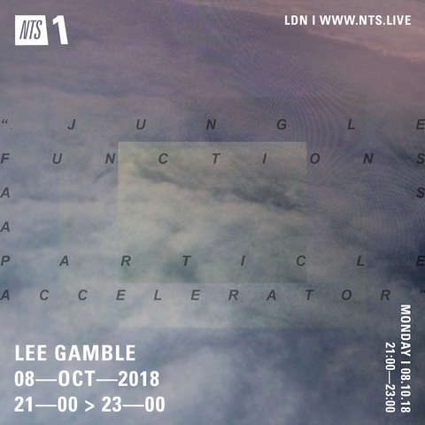 Lee Gamble - NTS RADIO (Oct 18')